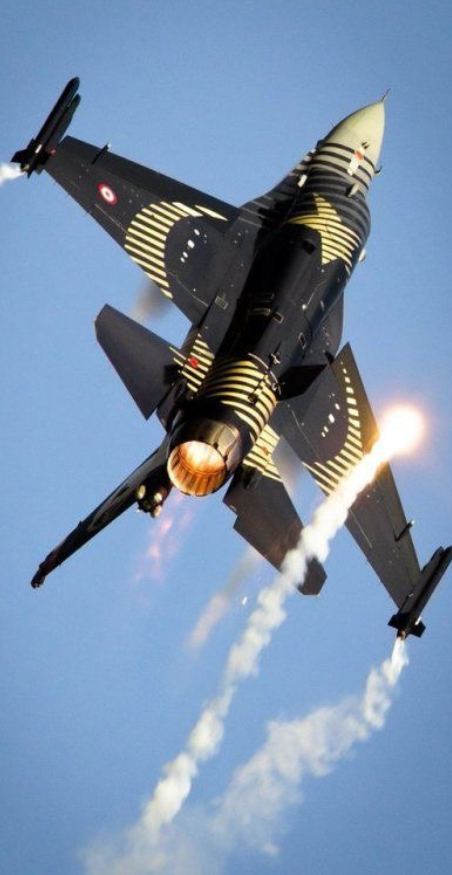 DEFENSE INDUSTRIES LAW